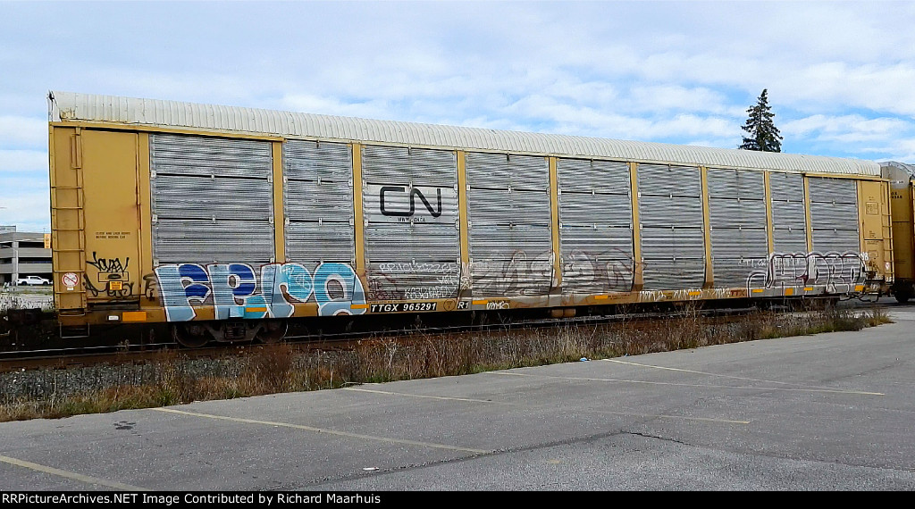 TTGX 965291 CN